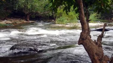 Ormandaki yeşil şelaledeki güzel şelale, şelale dokusu, güzel şelale manzarası, kayalıkların üzerinden çağlayarak akan sisli su damlaları.