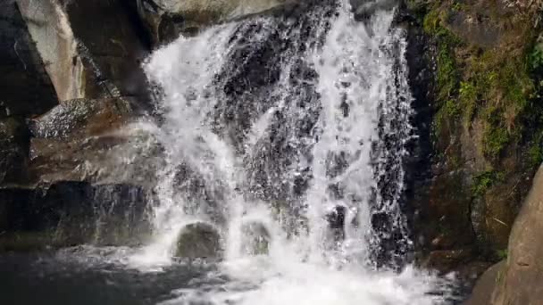 cascade pittoresque, eau cristalline dans une petite rivière de montagne dans la forêt. Cours d'eau rapide en forêt verte avec de petites cascades, belle cascade en forêt verte dans la jungle