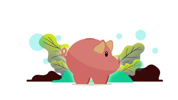お金の節約または蓄積の形でピギーバンク 金融サービス 預金概念 お金の節約のためのピギーバンク ブタバンクに落ちるコイン お金の概念を節約 — ストック動画