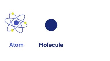 Atomlar, moleküller, bileşikler, maddenin temel bileşenleri, kimyasal etkileşimler, elementler kimyasal bağlara, atomların yapısına, moleküllerin oluşumuna, bileşiklerin özelliklerine, kimya modeline sahiptir.