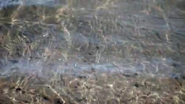 Water Ripples Surface Wild Mountain River Flowing Stone Boulders Water — Stock Video