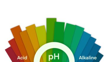 Ph ölçeği diyagramı, Ph ölçeği vektör grafiği, tabana asit, pH ölçeği Infographic asit taban dengesi, Gösterge diyagramı alkalik ölçeği, asit ve alkali çözümler için pH değer ölçeği grafiği
