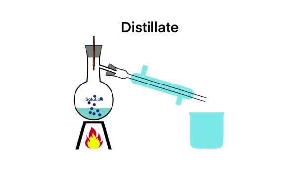 Scheikunde Waterdestillatieproces Fractionele Destillatie Eenvoudig Destillatiemodel Chemisch Laboratorium Uitleg Scheiding — Stockvideo