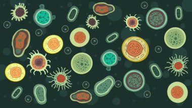 Biyoloji okulu, farklı şekil ve renklerdeki bakteriler, mikroorganizma, bakteri ve mikroplar renkli set, mikro organizmalar nesnelere, farklı türlere, bakterilere, virüslere, mantarlara, protozoalara neden olan hastalıklar
