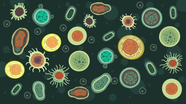 生物学の学校 異なった形および色の細菌 微生物 細菌および細菌は多彩なセット 異なったタイプ ウイルス プロトゾアを引き起こす微生物の病気を引き起こします — ストック動画
