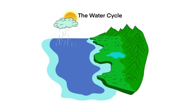 Diagrama Del Ciclo Del Agua Representación Del Ciclo Del Agua — Vídeo de stock