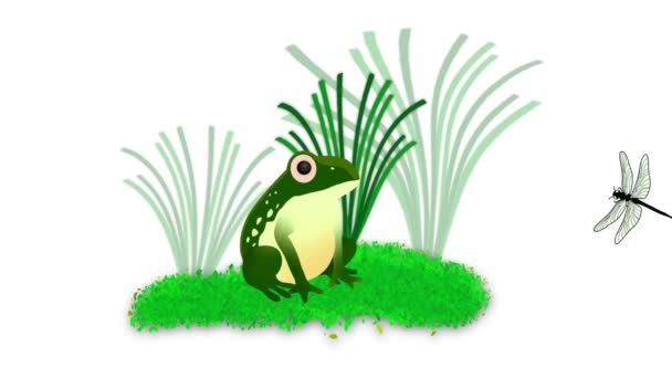 Green Frog Eat Insect Cartoon Frog Green Reptile Character Eating — Stock Video