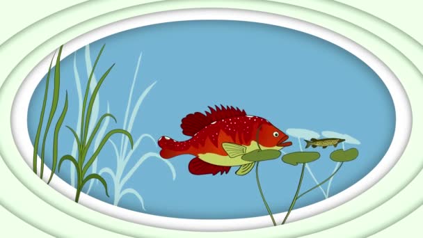 Велика Риба Їсть Дрібну Рибу Синьому Фоні Цикл Годування Концепції — стокове відео