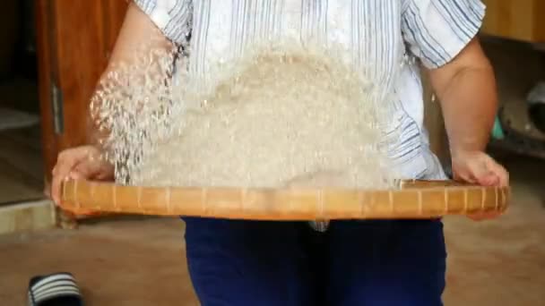 农民从一堆稻谷中手工采摘未煮熟的稻谷 用稻谷脱皮 用传统的手工工艺从稻谷中提取杂质 — 图库视频影像