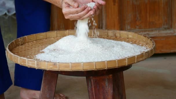 Farmer Takes Rice Burlap Selects Impurity Out Grain Jasmine Rice — Stock Video