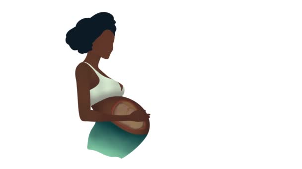 胎儿在子宫里 孕妇的肚子在肚子里 子宫壁中的胎儿 子宫中的胎儿 美丽的孕妇 教育生物学 — 图库视频影像