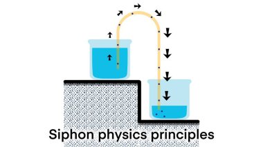 Sifon fiziği ilkeleri, hortum, tüpler, Siphon ilkesi, kimya ve fizik, Siphon fizik ilkeleri diyagramı aracılığıyla sıvıların akışını içeren çok çeşitli cihazlardan biridir.