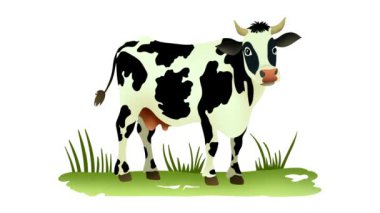 İnek sağma, organik inek sütü, çiftçi işçi inek sağma çiftliğinde inek sağma, inek sütü şişesi ve kapsül yeme, tarım ve çiftlik hayvanları