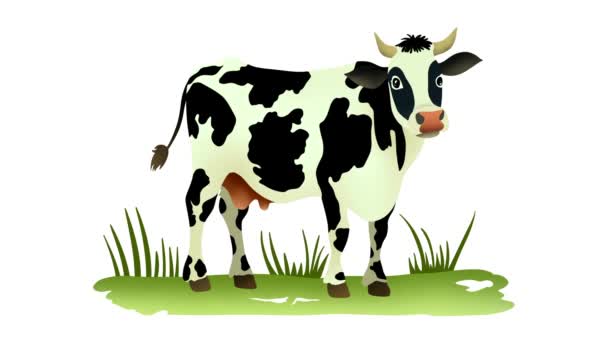 Traite Une Vache Lait Vache Biologique Ouvrier Ferme Traite Vache — Video