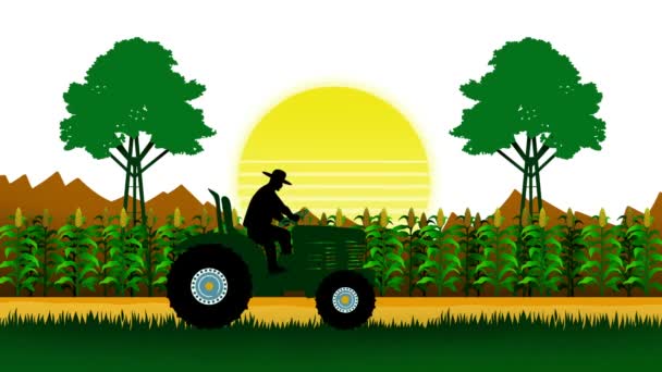 Tractor Working Green Field Man Farmer Rides Tractor Field Plowing — Vídeo de Stock