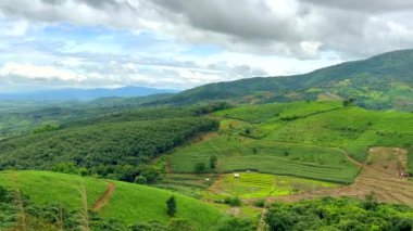 Doğal manzara, yeşil yağmur ormanı vadisine güzel manzara, çiftçilerin tarım arazileri, tepedeki ananas çiftlikleri, tepelerdeki ananas tarlalarının manzarası.