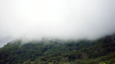 Sis dağların içinden akar, güneş tropikal ormanlara doğru parıldar, sisler sabah dağların tepelerinde sürüklenir, dağın tepesinde yavaşça süzülen sis örtüsü