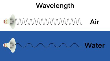 Fizikteki dalgalar, dalga boyları, dalgalar havadan ve sudan geçer, boylamsal ve çapraz hareketler, yapısal özelliklere sahip çapraz dalgalar