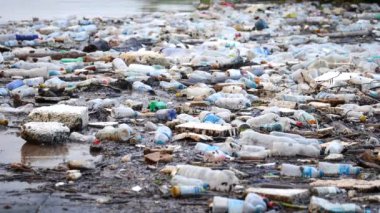 Çevreyi, kirliliği, plastik kirliliğini ve ekosistemler üzerindeki zararlı etkilerini kirleten atıkları ve atıkları içeren doğadaki plastik kirliliğinin etkili bir görüntüsü