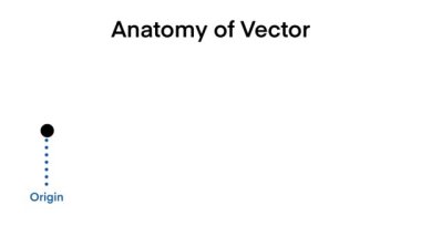 Ana bileşenlerini vurgulayan bir Vektörün anatomisi: Köken, Uzunluk veya Büyüklük, Yön ve Son veya Ok. Bu görsel yardım fizik veya matematik hakkında eğitici içerik için mükemmeldir.