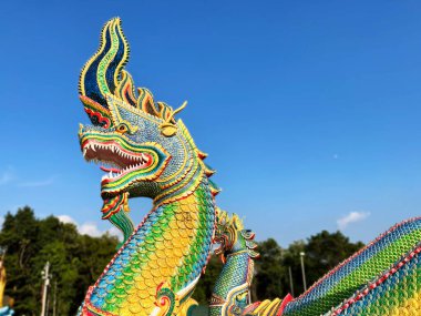Buda heykeli olan Naga Kralı Güzel Naga heykeli, tapınakta Çin ejderhası heykeli, Tayland ejderhası ya da yılan kral heykeli