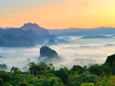 Sisli dağların üzerinde, vadiyi kaplayan sis tabakalarıyla sersemletici bir gün doğumu. Yeşil orman, tepeler ve ılık sabah ışığı içeren sakin manzara manzarası, doğa ve seyahat temaları için mükemmel.