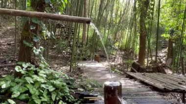 Bambu borusu, sakin bir orman ortamında yemyeşil bitki örtüsüyle çevrili kırsal ahşap bir havzaya temiz su döküyor. Suyun yumuşak akışı ve benekli güneş ışığı barışçıl bir hava yaratır.