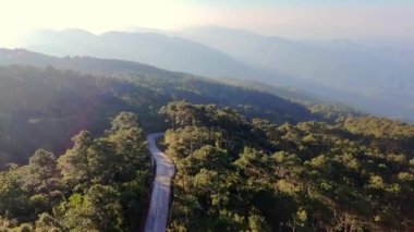 Etrafı yemyeşil orman ve yuvarlanan tepelerle çevrili dolambaçlı bir dağ yolu. Güneş ışığı manzaraya, seyahate, maceraya ve doğayla ilgili konulara sıcak bir ışık tutuyor.