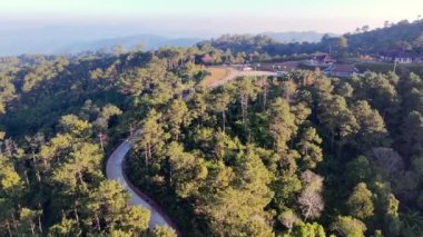 Etrafı yemyeşil orman ve yuvarlanan tepelerle çevrili dolambaçlı bir dağ yolu. Güneş ışığı manzaraya, seyahate, maceraya ve doğayla ilgili konulara sıcak bir ışık tutuyor.