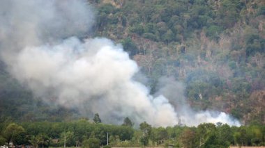 Ormandaki yangın, dağlık bir yamaçtaki yoğun tropikal bir ormandan yükselen orman dumanı, çevresel yıkım, orman yangını kirliliği ve iklim krizi kavramı