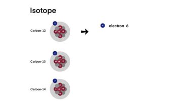 Karbon Karbon-12, Karbon-13 ve Karbon-14 'ün üç izotopu aynı sayıda proton ve elektronu paylaşıyor, ancak nötron sayısı farklı olup, kararlı ve radyoaktif formlarda atomik çeşitliliği göstermektedir.