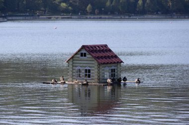 Valea Morilor Parkı. Suda Bir Kuş Evi