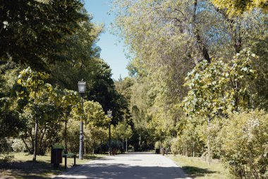 Chisinau şehrinin Central Park 'ı