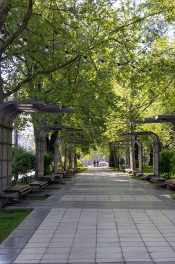 Moldova 'da. 06.05.2024. Chisinau sokakları