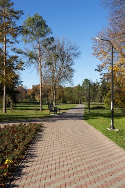 patika bir Şehir Parkı