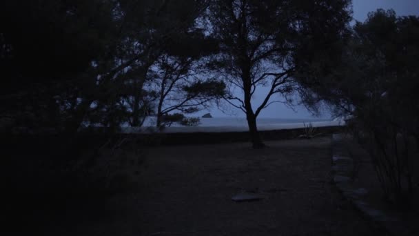 Encantadora Noche Árboles Balanceándose Viento Mar Fondo Cadaques Imágenes Alta — Vídeo de stock