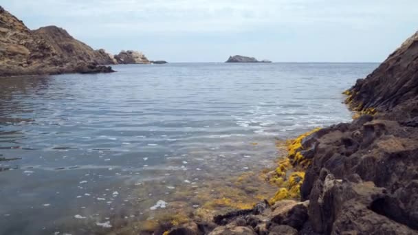 Мбаппе Береговой Линии Морских Скальных Образований Природном Парке Тудела Высококачественные — стоковое видео