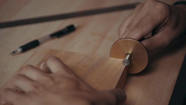 Menguasai Woodworking Marking Depth Precise Mahogany Dowel Joints Mortise Gauge — Stok Video