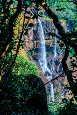 Orman çalılarının arasından görülen dağlarda nefes kesici ve manzaralı şelale.