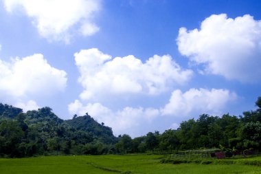 Bu fotoğraf izleyicileri Sylhet 'in bozulmamış güzelliğine kendilerini kaptırmaya davet ediyor. Doğanın ahenginin hüküm sürdüğü yere. Gevşeme ve ilham için Sylhet 'i ziyaret etmek için kullanılıp kullanılmayacağı