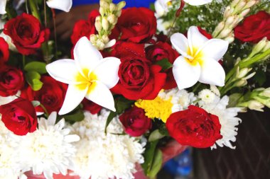 Beyaz frangipani (ayrıca Plumeria alba olarak da bilinir), kokulu, balmumu ve canlı beyaz çiçekleri ile tanınan tropikal bir çiçek bitkisidir. Kırmızı güller klasik ve sembolik çiçeklerdir..