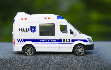 Araba çimlerin, toprağın ya da manzaralı bir yolun üzerinde olabilir. Arka planda kaya, yaprak ya da bitki gibi elementler olabilir.. 