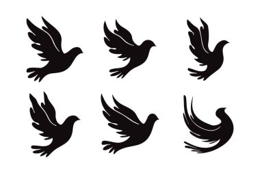 Güvercin kuş logosu tasarım konsepti.