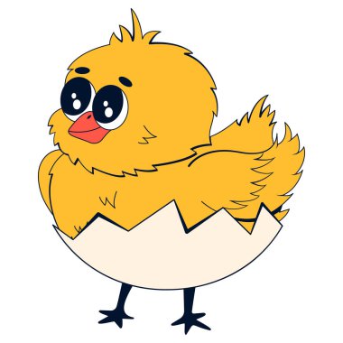 Yumurta kabuklu yavru tavuk. Retro çizgi film tarzında bir tavuk karakterinin vektör çizimi.