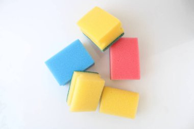 Sünger tabağı beyaz arkaplanda izole edildi.