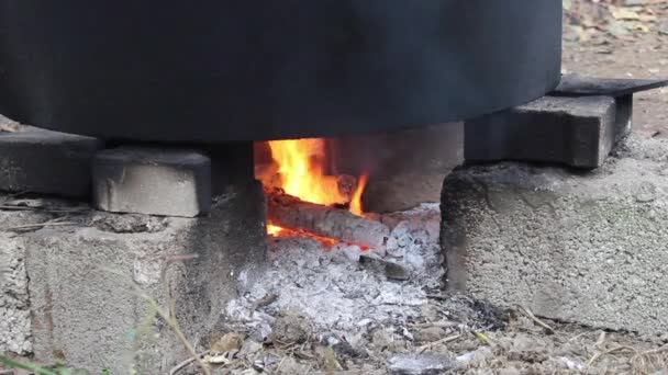 煮沸的月桂或月桂黑色的肥皂种子 村子里的大锅下面生火了 — 图库视频影像