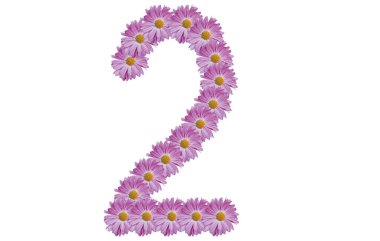 Beyaz arka planda pembe çiçekle izole edilmiş iki numara. Bahar fikri.