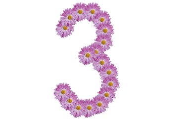 Beyaz arka planda pembe çiçekle izole edilmiş üç numara. Bahar fikri.