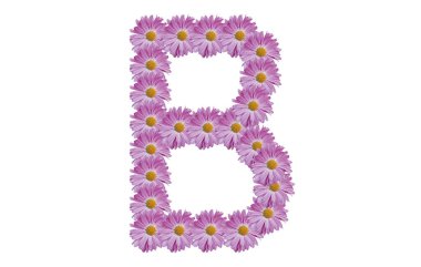 B harfi beyaz arka planda pembe çiçekle izole edilmiş. Bahar fikri.