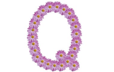 Q harfi beyaz arka planda pembe çiçekle izole edilmiş. Bahar fikri.